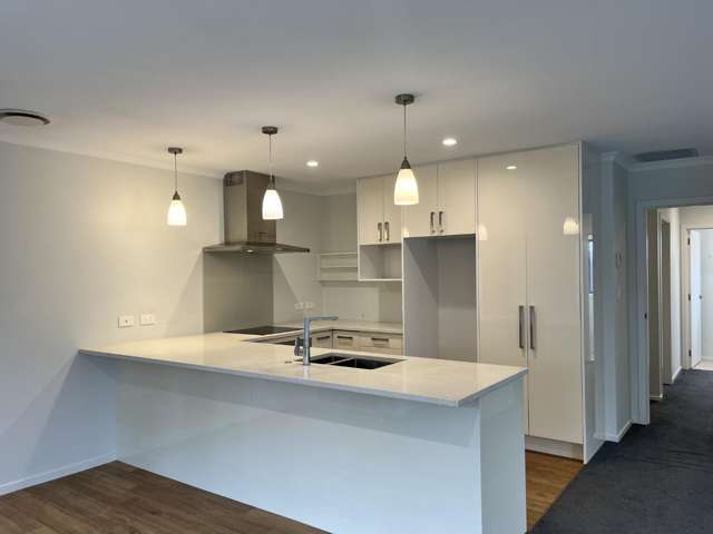 33a Park Road Greenmeadows_3