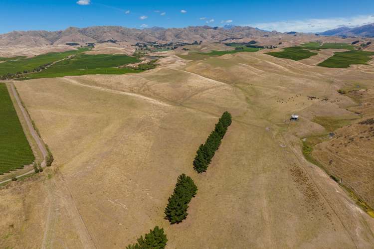 167 Marama Road Seddon_17