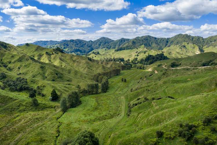 1221 Waitewhena Road Taumarunui_20