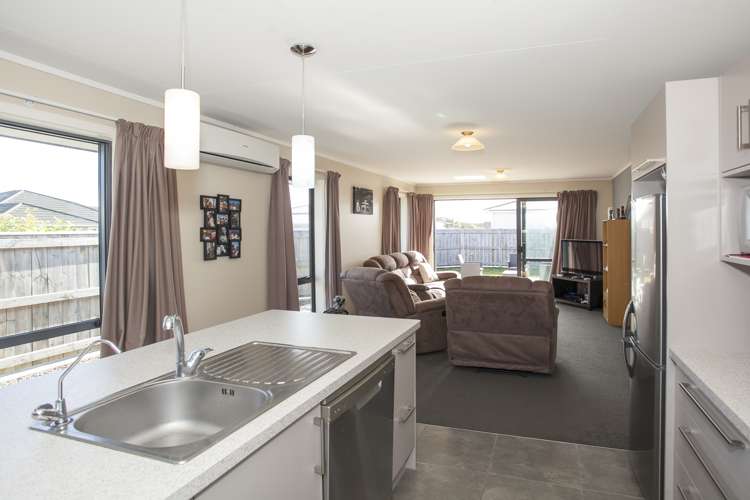 14a Rata Street Roslyn_6