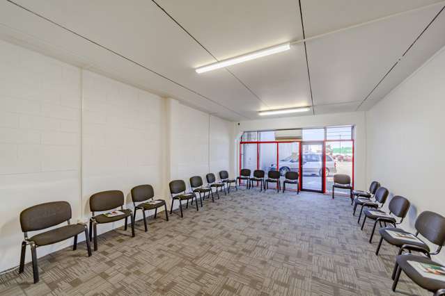 17 Carlyle Street South Napier South_1