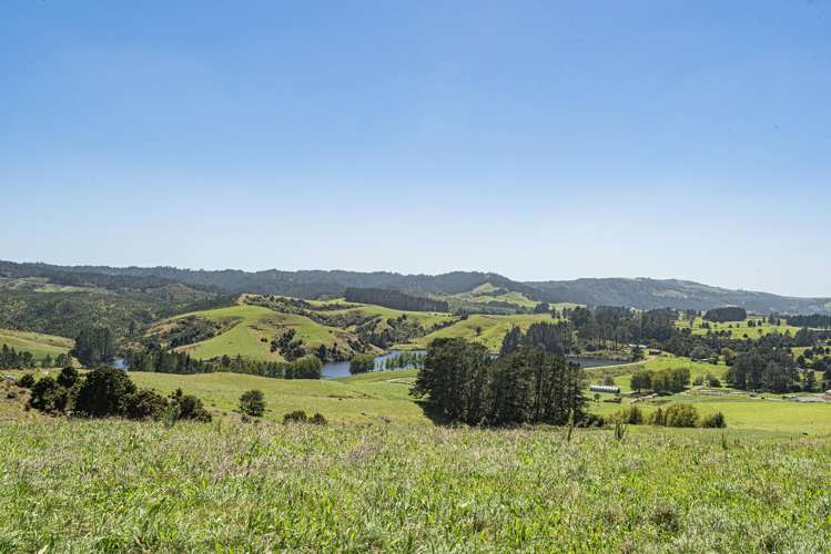 731 Puhipuhi Road Whakapara_30