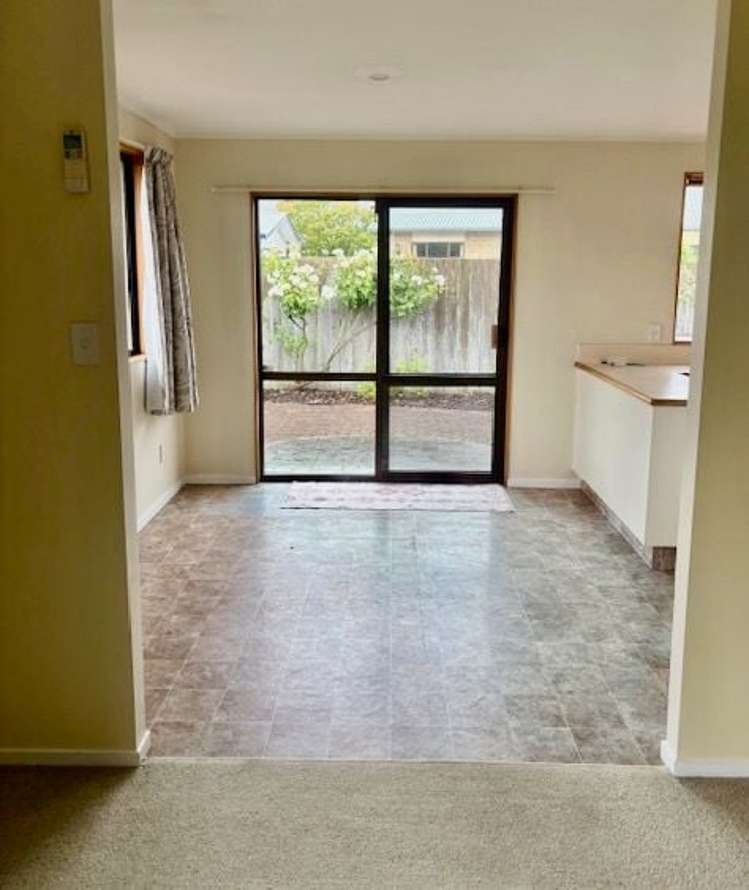 55C Colemans Road Springlands_6