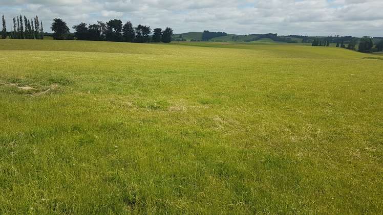 259 Kaihiku Church Road Clinton and Surrounds_5