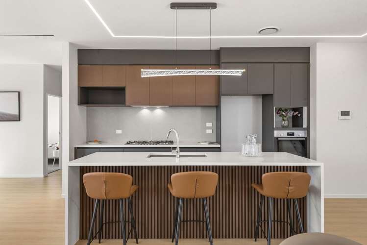 115 Thomas Road Flat Bush_2