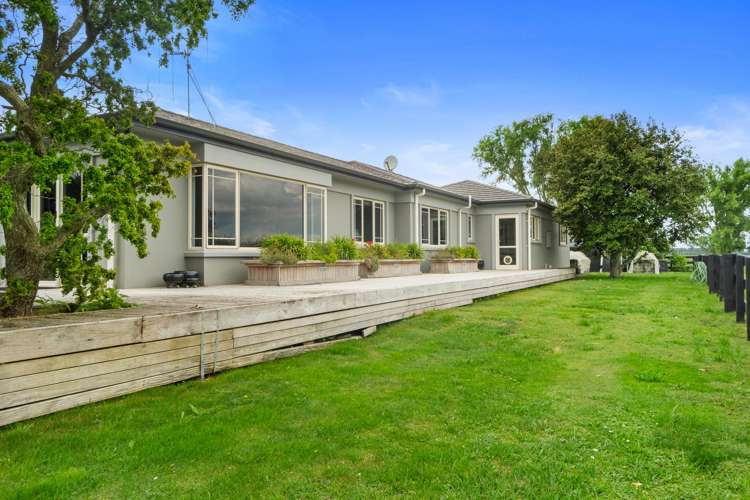 147 Kiroa Road Gordonton_22