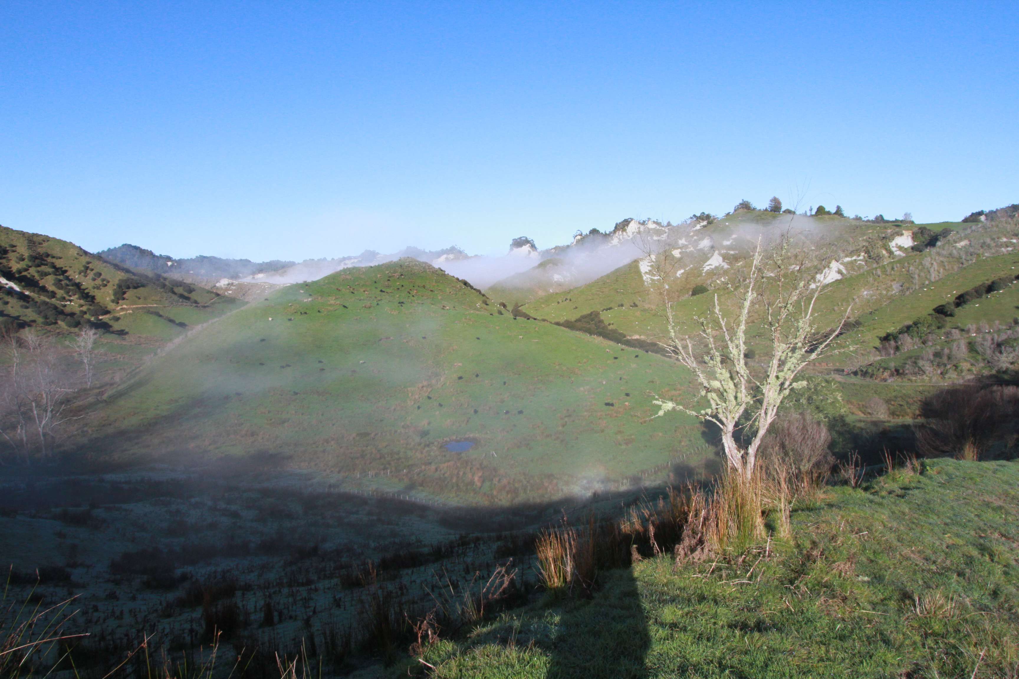 347 Ngatoto Road North Uruti New Plymouth Rural Property For Sale