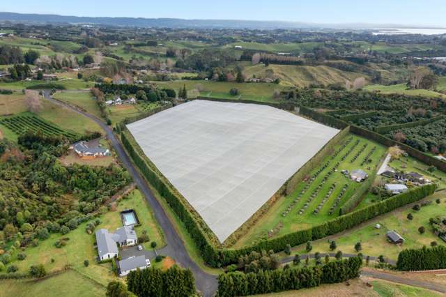 125b Whakamarama Road Whakamarama_3