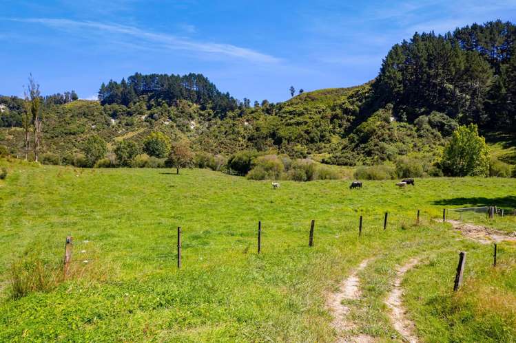 324 Okoki Road Urenui_20