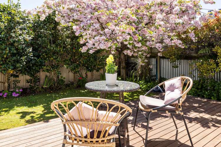 18A Sanders Avenue Marewa_19