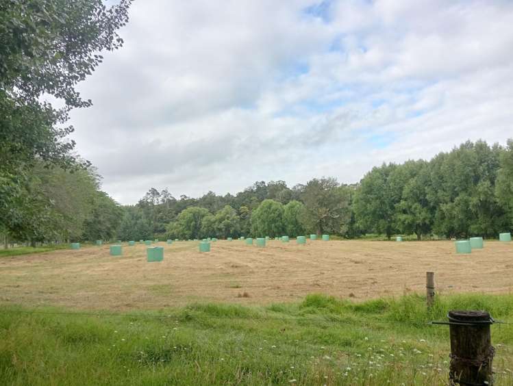 48 Doel Road Kawakawa_44