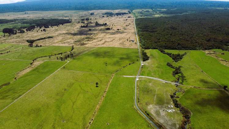 600 Upper Kiri Road Te Kiri_7