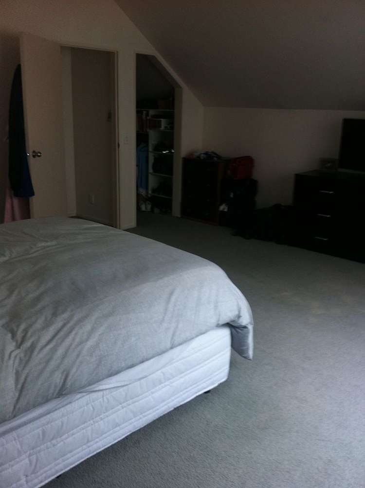 6I Tahora Avenue Remuera_6
