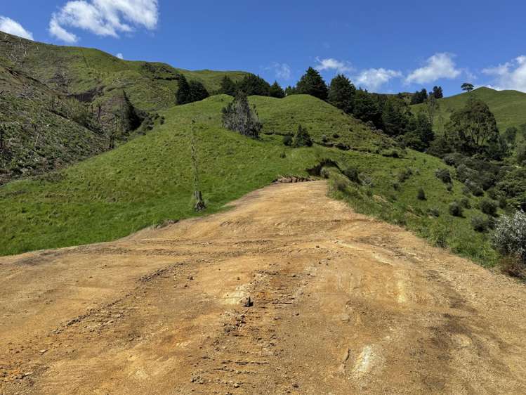 Lot 1 Brown Road Kawhia_16