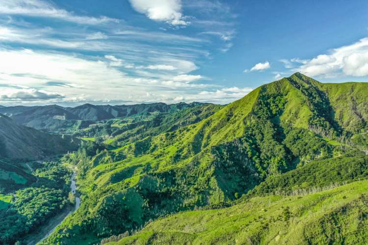 Riverside Road Matokitoki_1