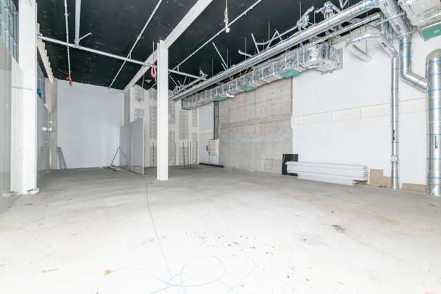 Suite 102, 38 Elizabeth Street City Centre_4