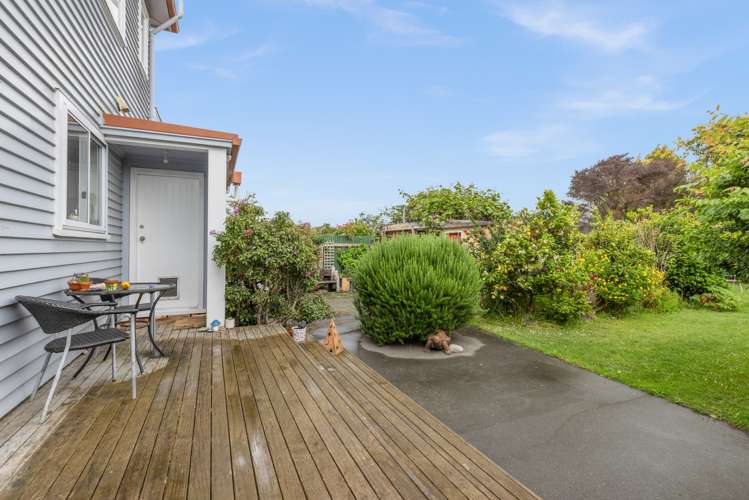 62 Douglas Mclean Avenue Marewa_19