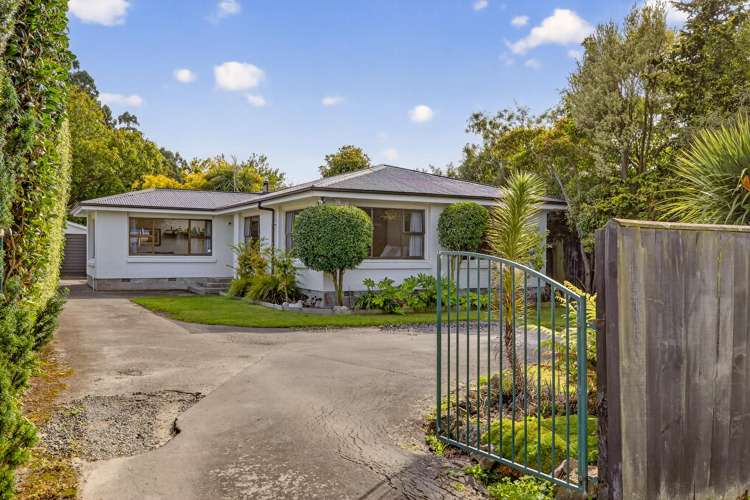 594 Harewood Road Harewood_32