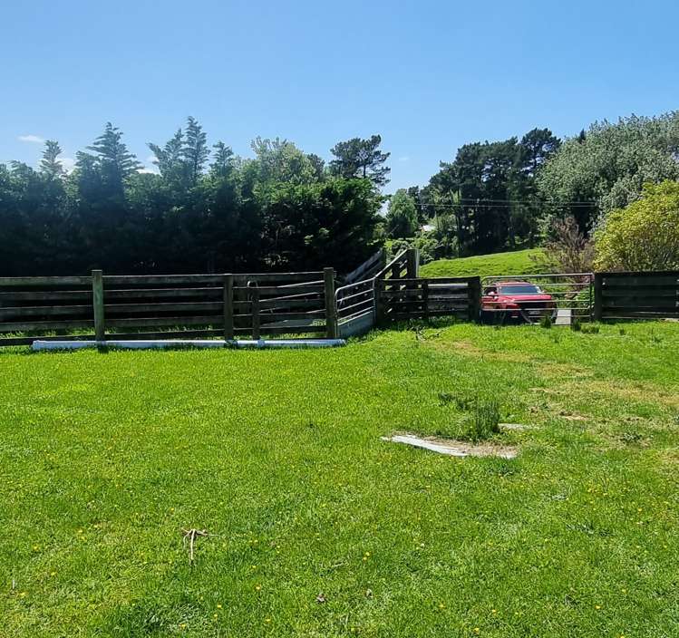 9 Buckley Road Shannon_14