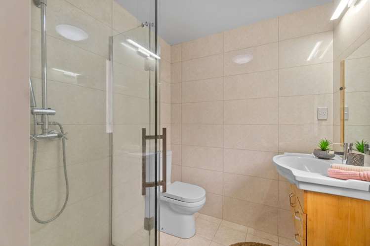 298B Mount Albert Road Sandringham_23