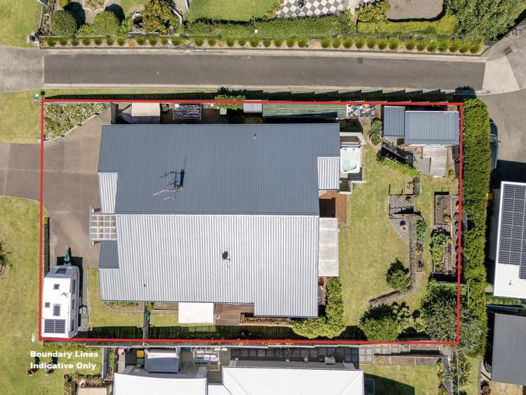 15 Diamond Head Hairini_33