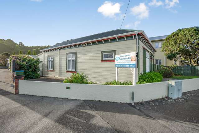 93 Hutt Road Petone_2