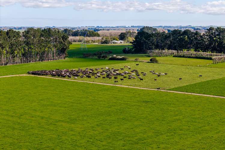 1040 Roberts Line Bunnythorpe_28