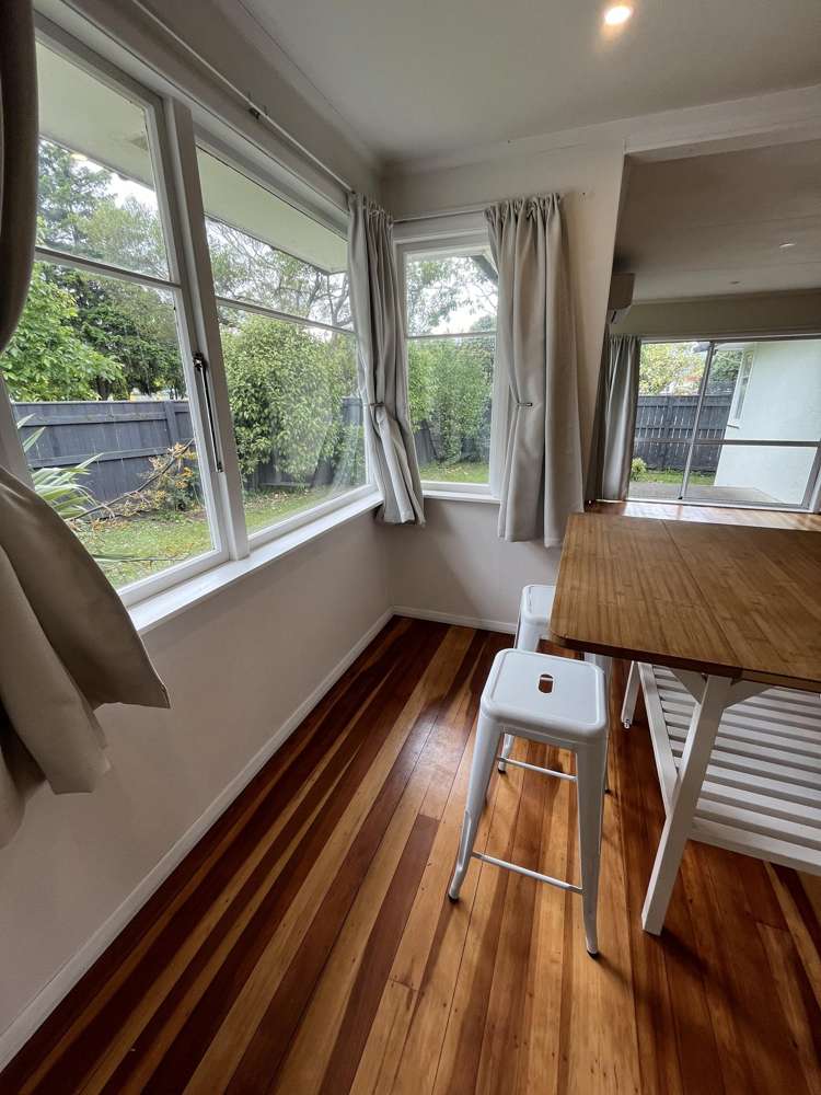 73 Mulgrave Street Ashhurst_6