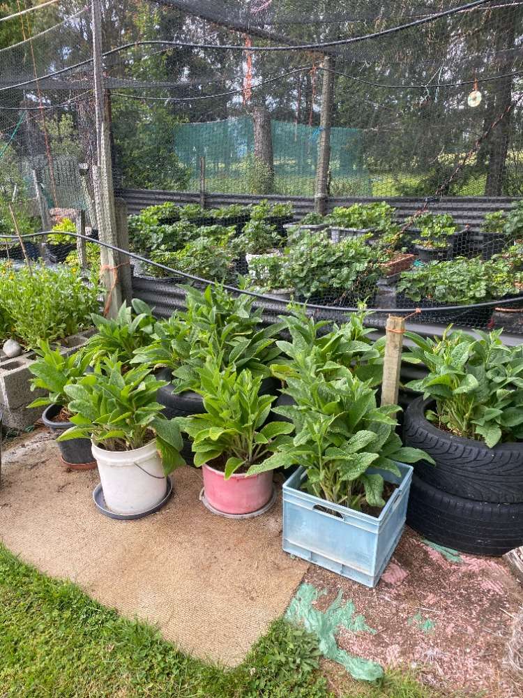 415 Woodbank Road Hanmer Springs_21