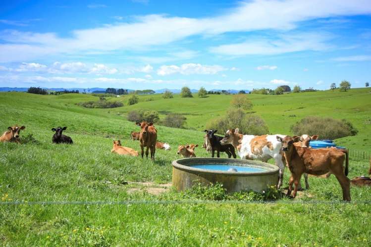 103a Ginn Road Huntly_1