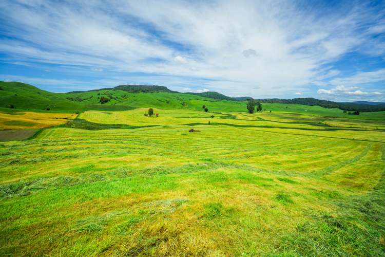 313 Te Wera Road Matawai_6