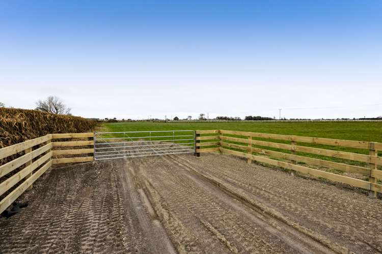 Waihi Road Hawera_12