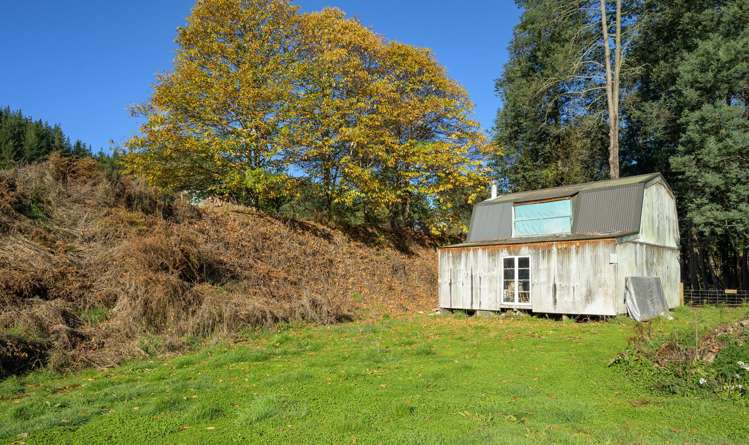 542 Tadmor-Glenhope Road Tadmor_9
