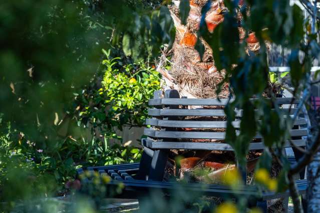 96a Centennial Avenue Te Aroha_4