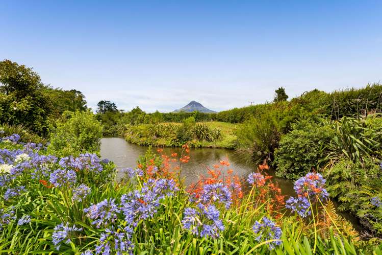 1245 Upland Road Egmont Village_20