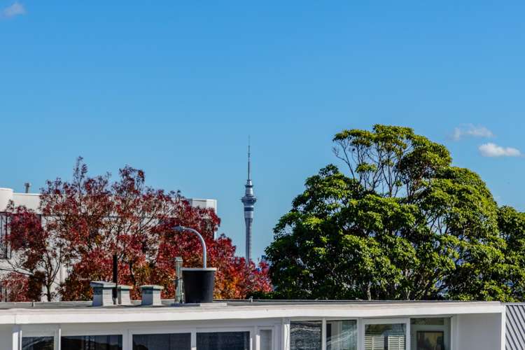 501/11 Paora Street Orakei_9