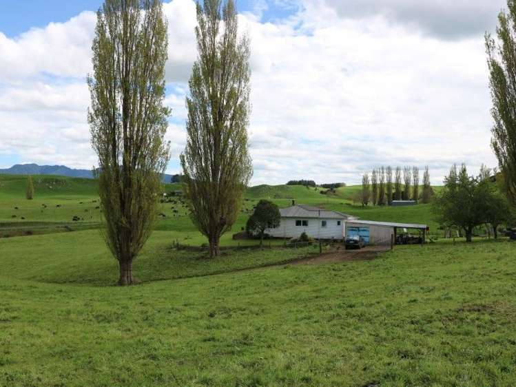 196 Hildreth Road Arapuni_50