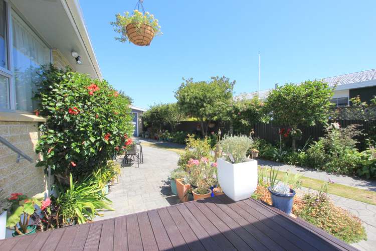 50 Howick Road Redwoodtown_6