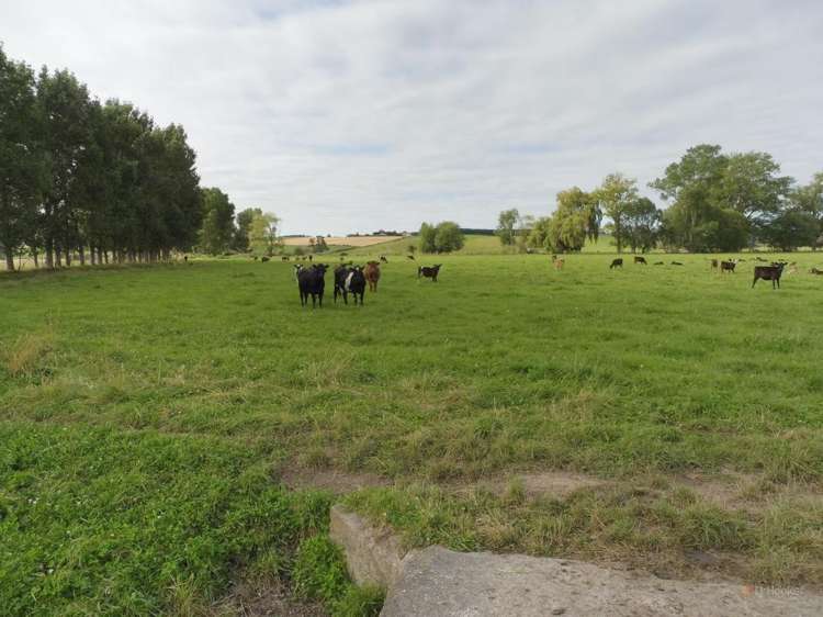 240 Levels Valley Road Levels Valley_7