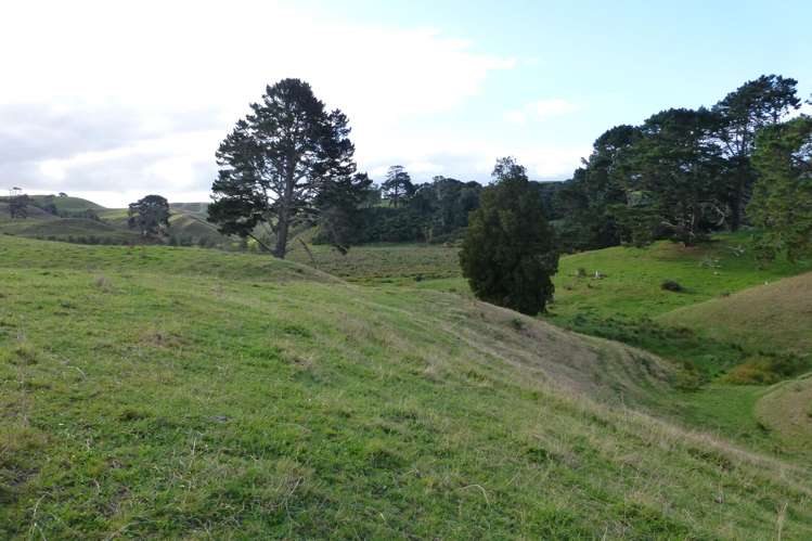 141c Oram Road Mercer_9