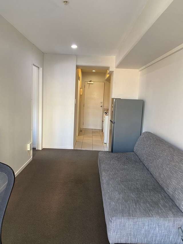 113 Vincent Street Auckland Central_4