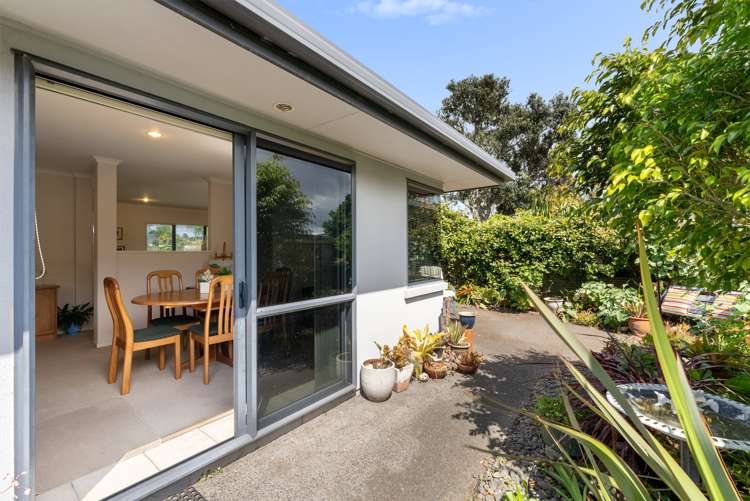 1 Appaloosa Place Papamoa_5