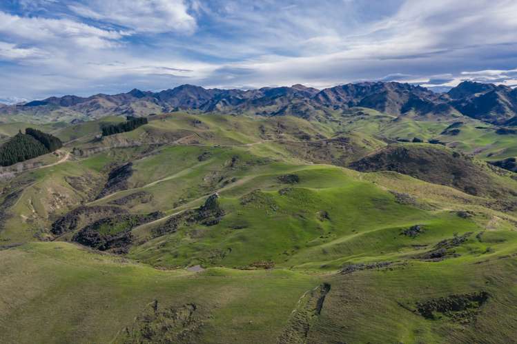 387 Eggleston Road Cheviot_5