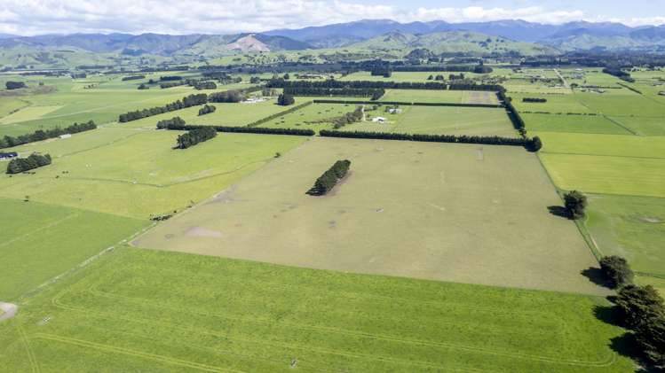 174 Wiltons Road Carterton_12