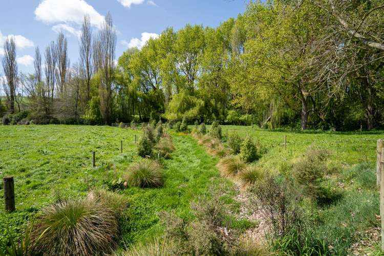 212 Karapiro Road Cambridge_18