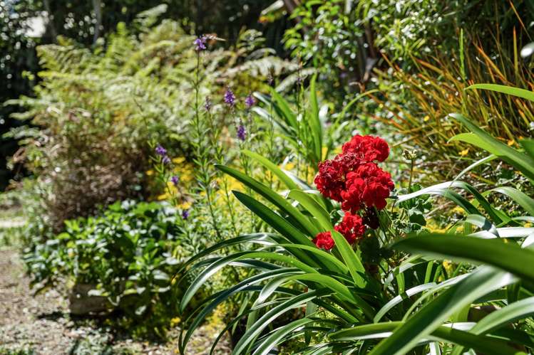 20A Valley View Lane Hakaru_26