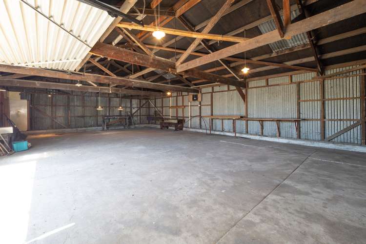 8 Rapley Street Hampstead_6