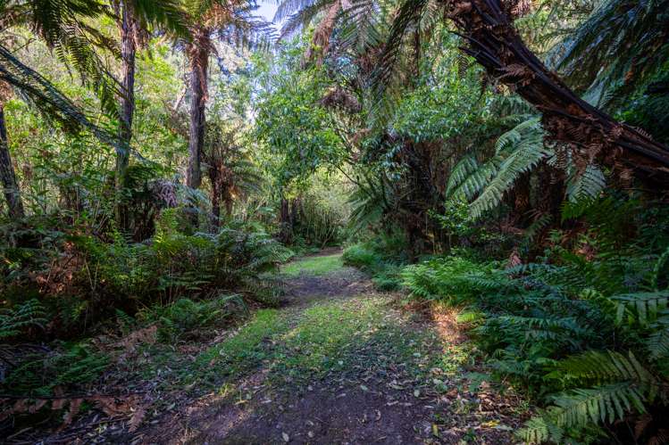 110 Butcher Road Matangi_31