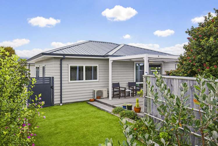 9/17 Waerenga Road_0