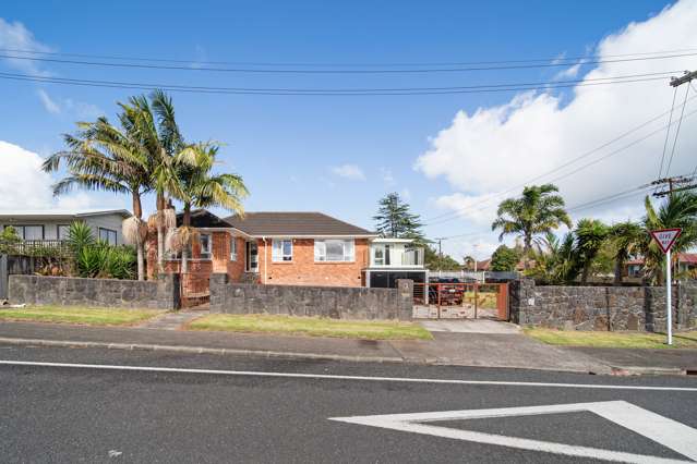 104 Vine Street Mangere East_1